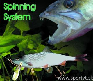 Spining systém
