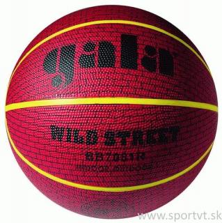Basketbalová lopta WILD STREET
